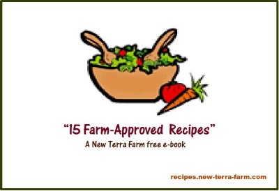 Right-click to save this free e-book