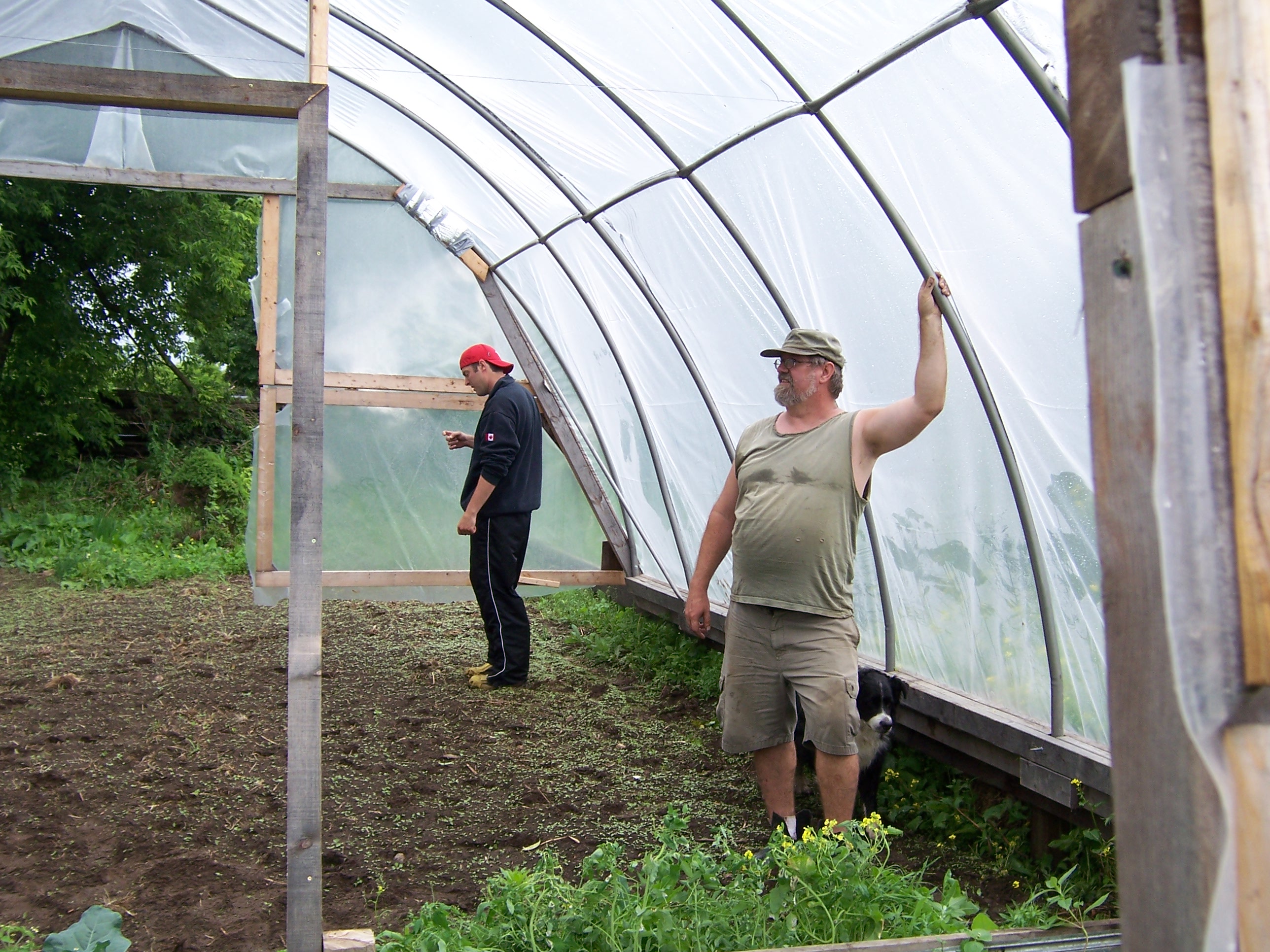 Building a greenhouse with your own hands Building a greenhouse with your own hands