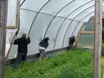 The advantages of starting a greenhouse on your small farm