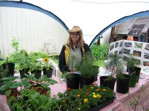 Make money selling plants from your backyard nursery. Work from home growing plants for money