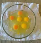 We've been raising chickens for eggs for 10 years at New Terra Farm. Here's how we do it.