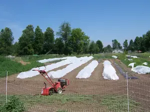 A simple raised bed garden plan for growing crops in a small organic market garden