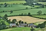 Increasing food insecurity and economic instability have many wondering how to learn to farm, for a secure, healthy lifestyle and contribution to thecommunity