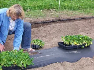 Learn how to plan a garden for your small farm or rural property