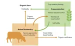 There's a lot of interest in the question 'what is micro farming'. There is more to microfarming than just the size of the farm. Learn what MICRO really means