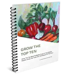 The factors you should consider when selecting your vegetable garden site