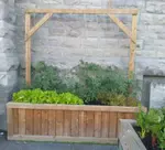 raised bed church