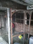 What do you need to know about chicken coop construction to successfully build your own chciken coop?
