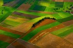 farm fields