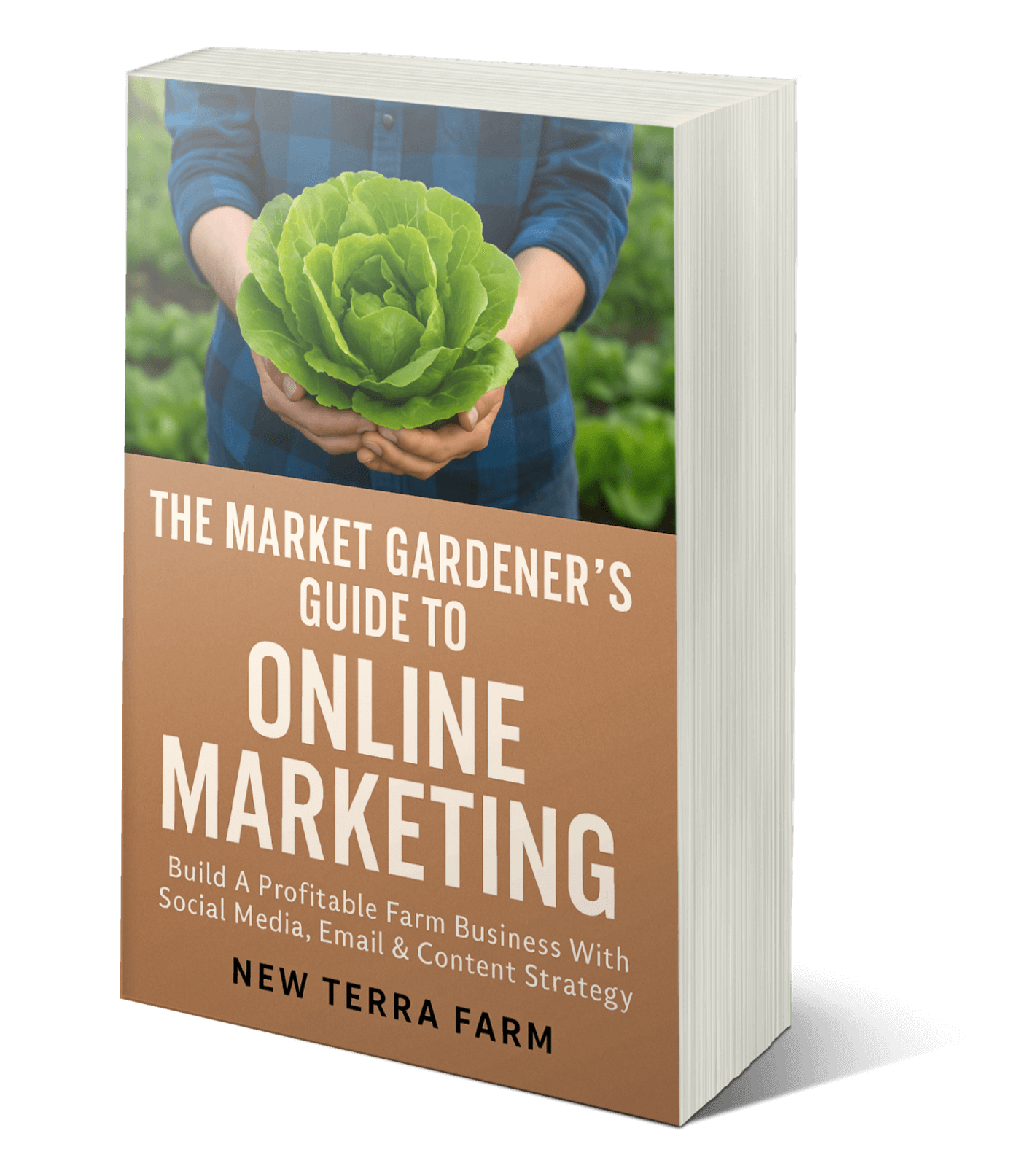 online-cover