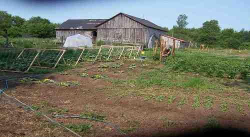 Scott in the 'sunny garden' at New Terra Farm