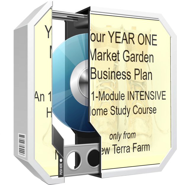 Your Year One