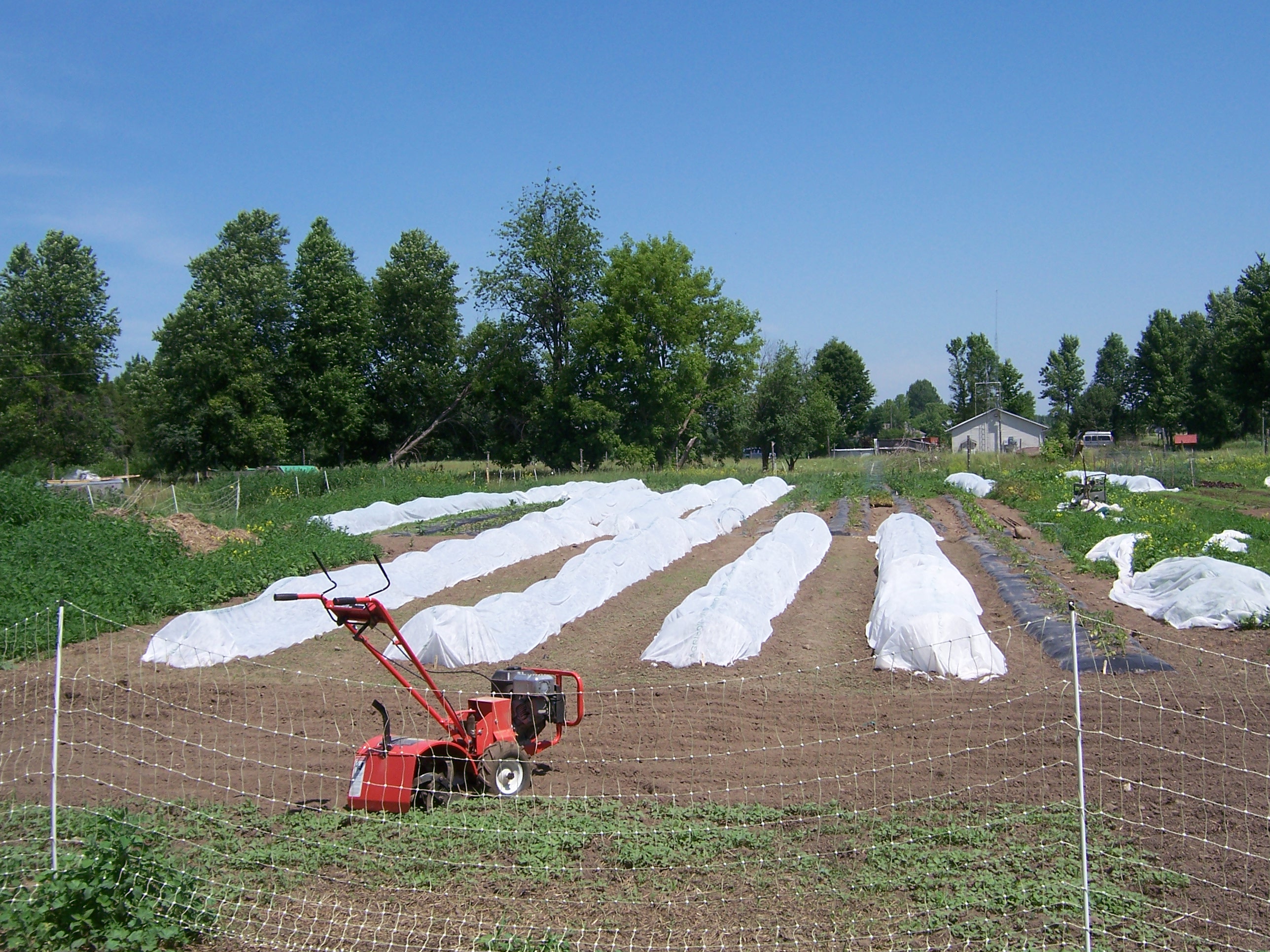 The Value Of A Snag - Hobby Farms