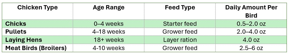 how much to feed chickens