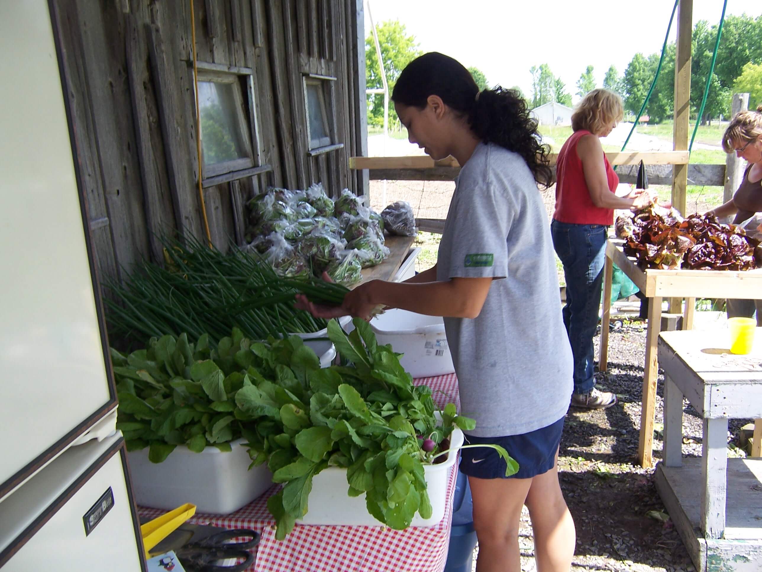 processing-packing-dani