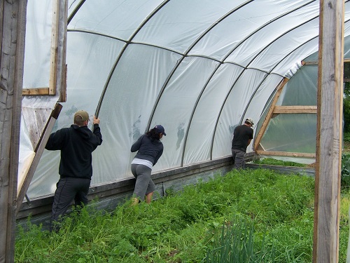 Build a greenhouse