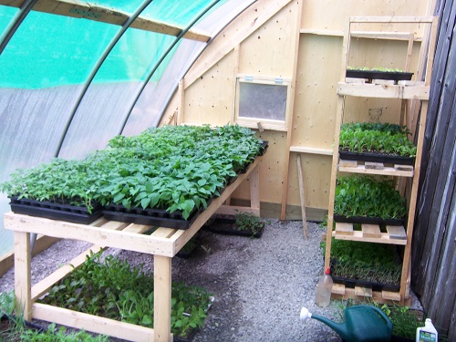 Lean to greenhouse with benches