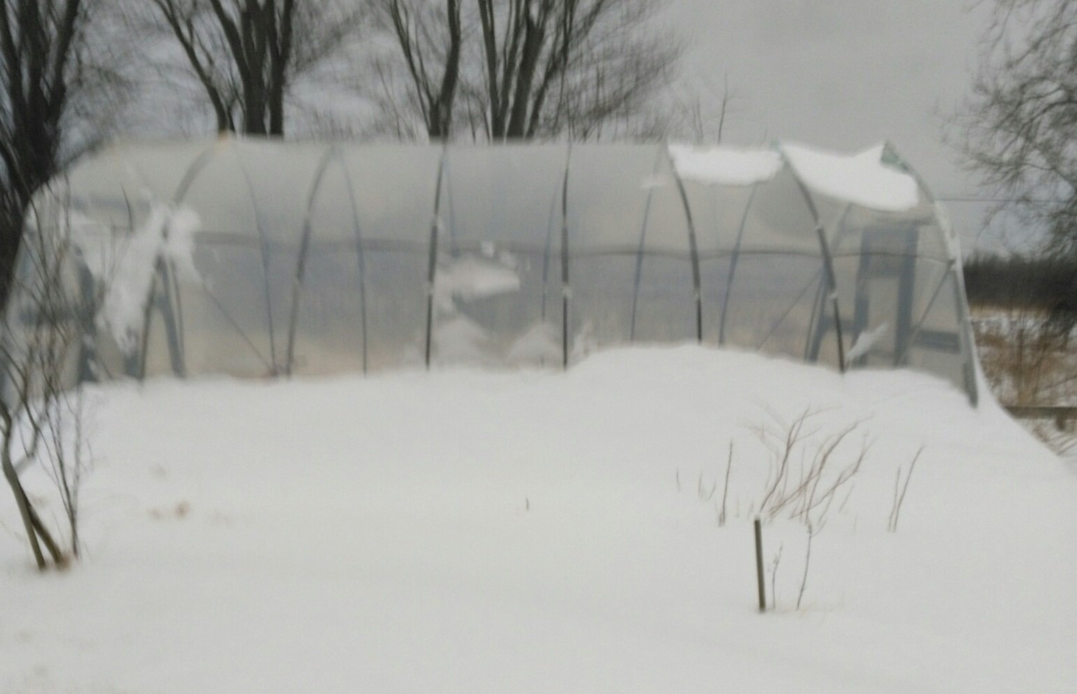 snow on the  big greenhouse