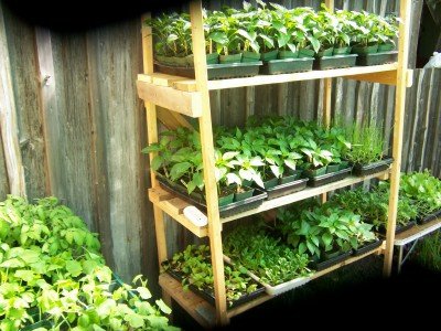 backyard nursery plant stand