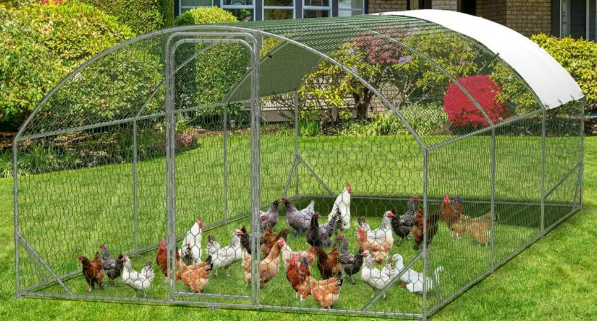 Garvee big chicken coop