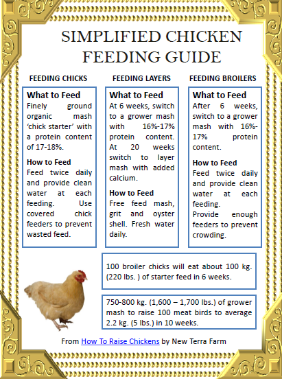 How To Raise Chickens For Meat And Money how-to-raise-chickens-for-meat-and-money
