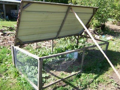 top opening chicken tractor