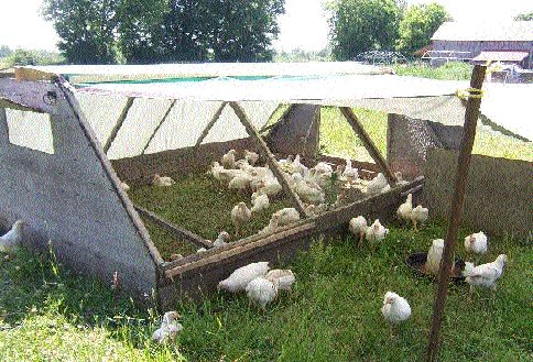 day range poultry pen