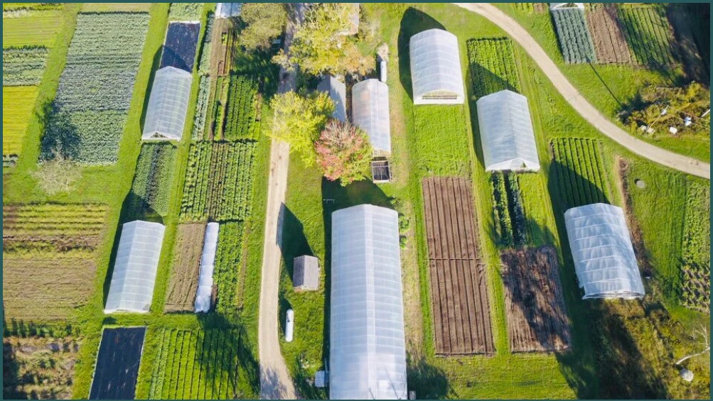 four season farm