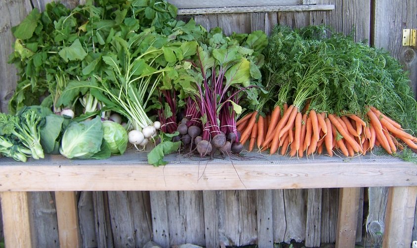 fresh veggies on a table