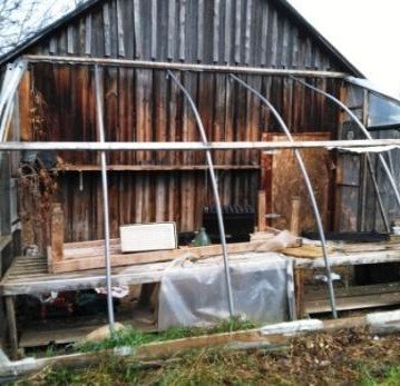 lean-to greenhouse south orientation