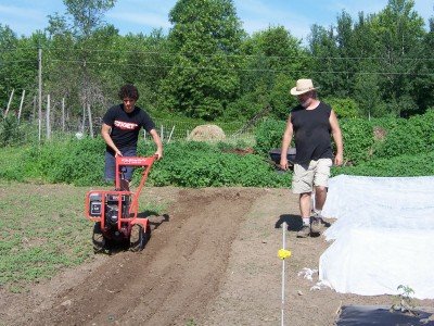 Market gardening at New Terra Farm