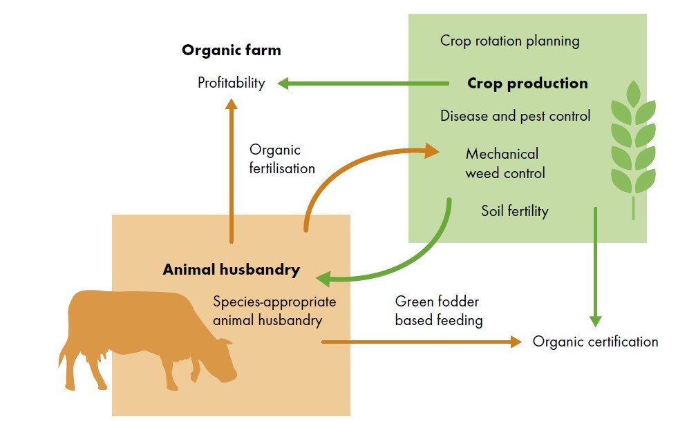 micro farm principles