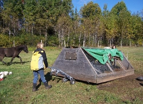 The Movable Coop