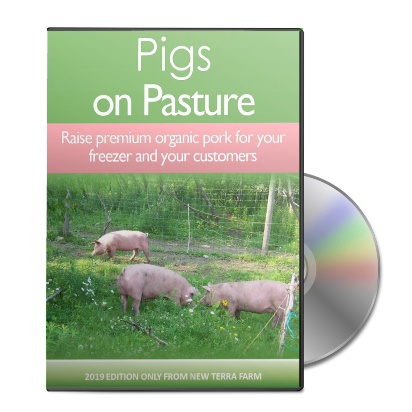 How to raise a pig on pasture book