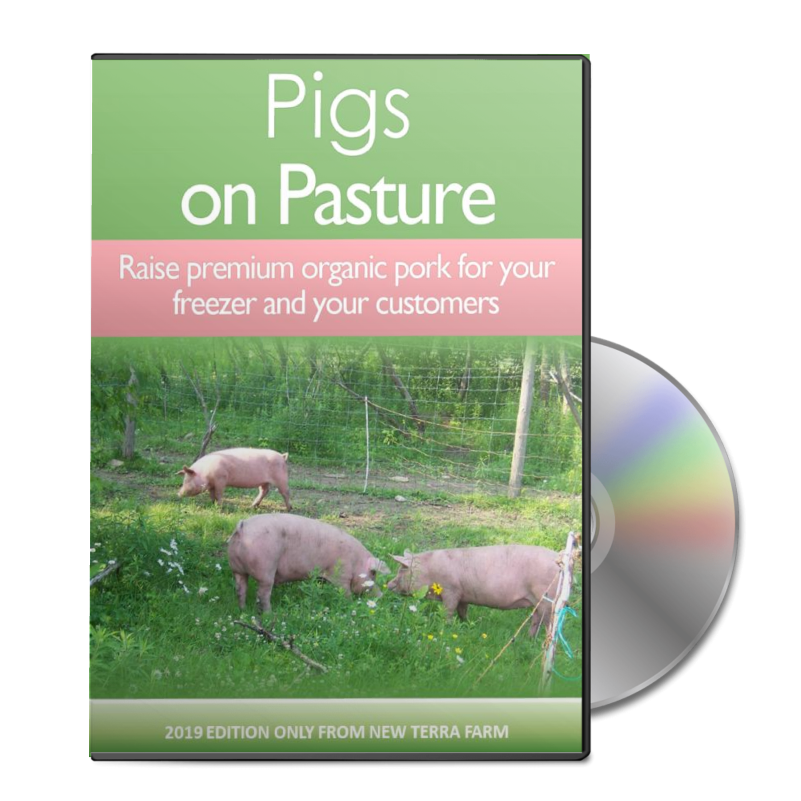 pigs on pasture book