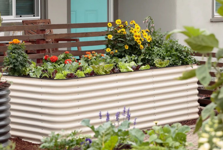 raised garden bed