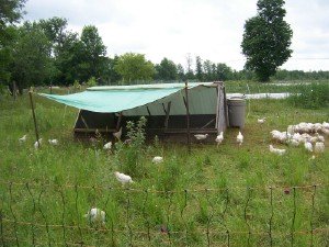 chicken coop ideas