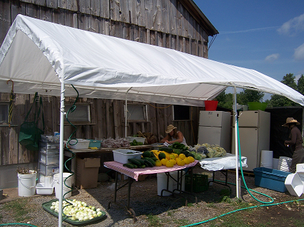 veggie-processing small
