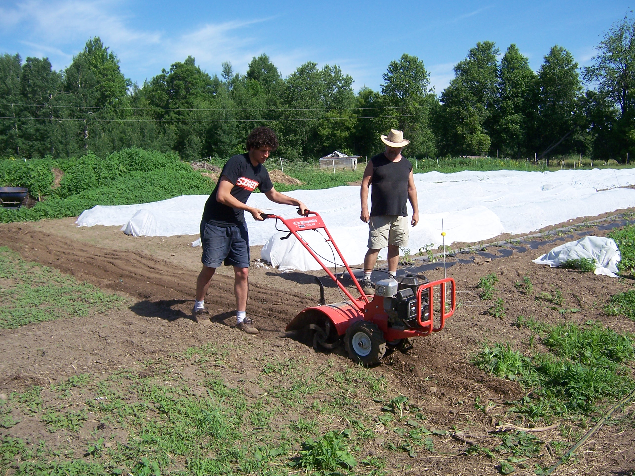 rototilling on the raised bed garden